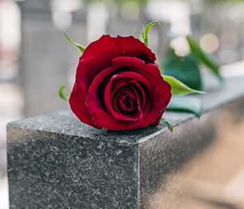 Wrongful-Death.jpg